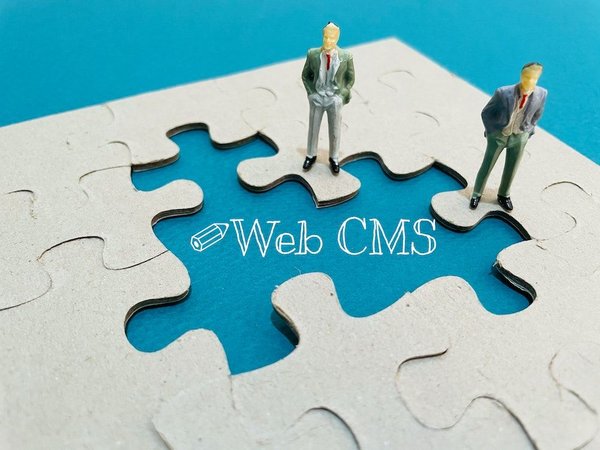 Comment fonctionnent les systèmes de gestion de contenu (CMS) pour les blogs ?
